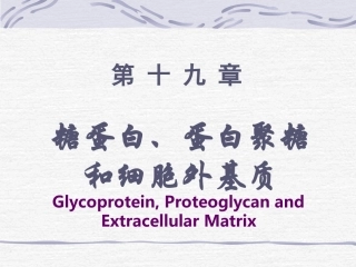 糖蛋白、蛋白聚糖-和细胞外基质-Glycoprotein--…