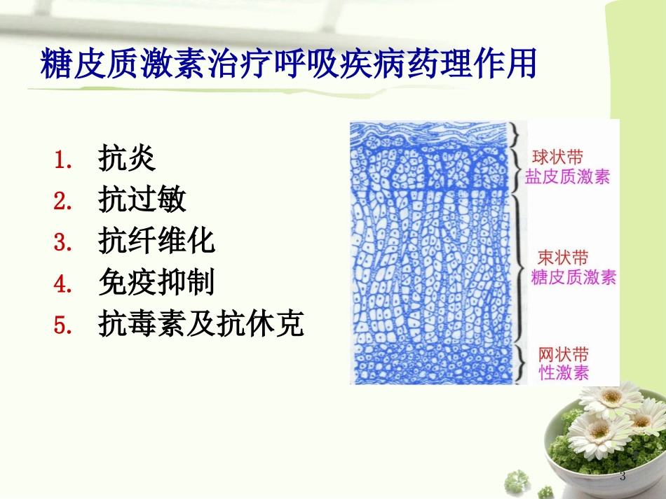 糖皮质激素在呼吸科的应用_第3页