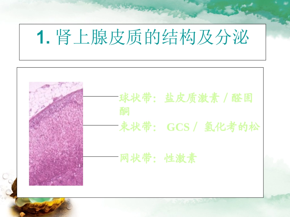 糖皮质激素在疼痛科的应用_第3页