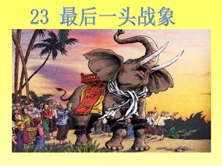 最后一头战象_课件