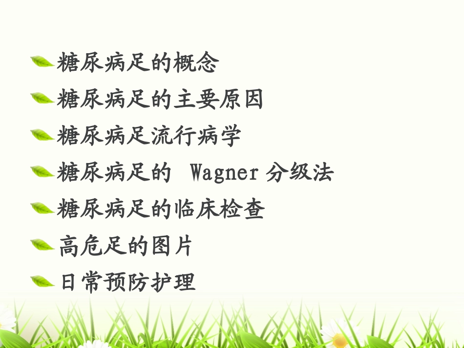 糖尿病足风险筛查和评估_第2页