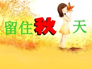 《留住秋天》