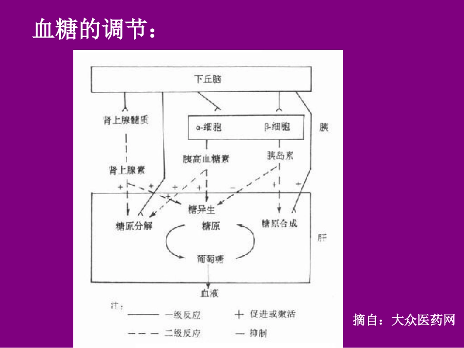 糖尿病营养与膳食_第3页