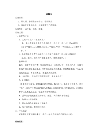 七星瓢虫活动反思