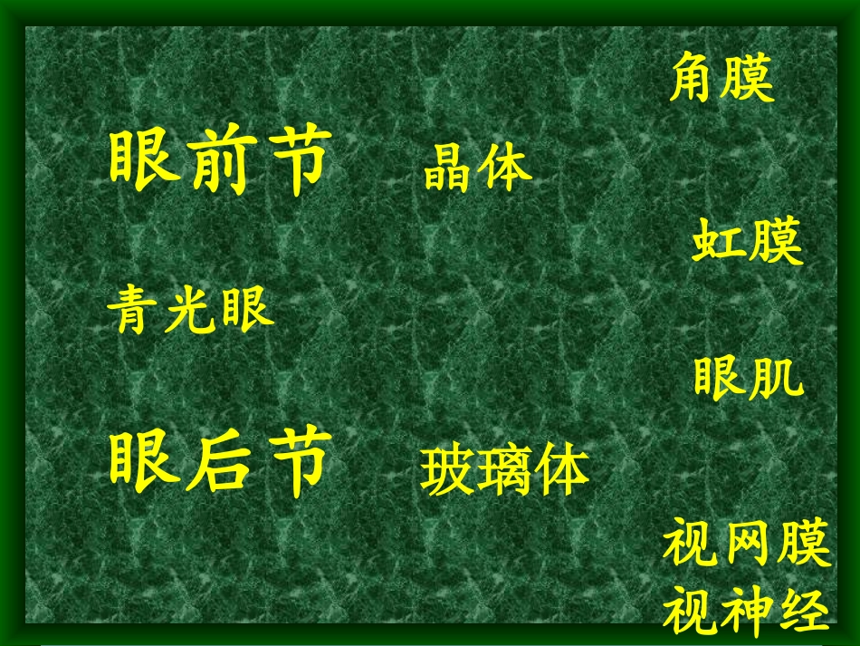 糖尿病眼底病变-张承芬_第3页
