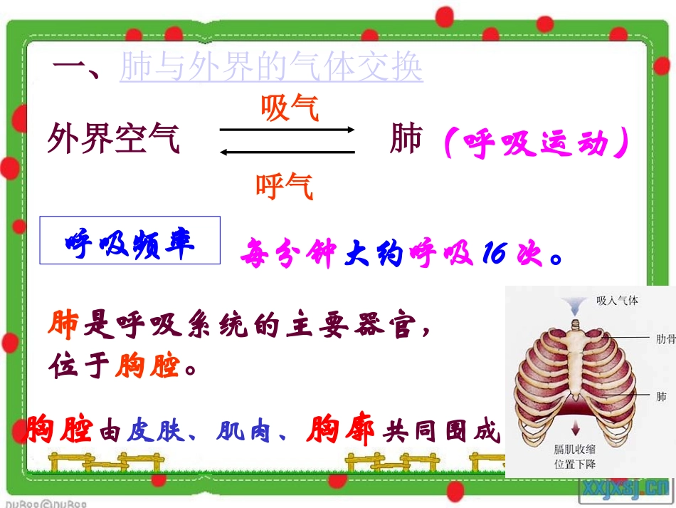 发生在肺内的气体交换_第2页