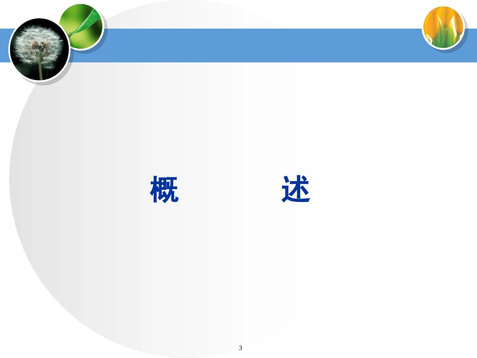 糖尿病流程医院讲解稿_第3页