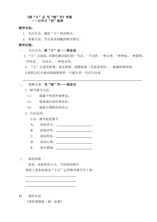 抓小点写细节学案