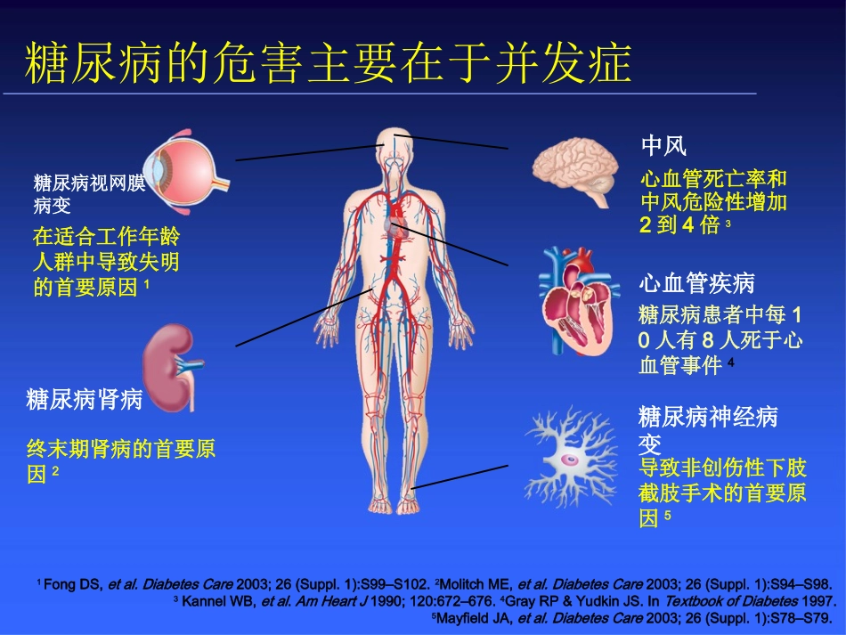 糖尿病基本用药_第3页