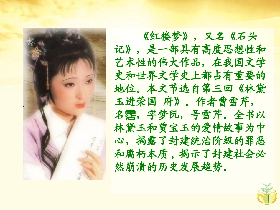 凤辣子初见林黛玉课件_第2页