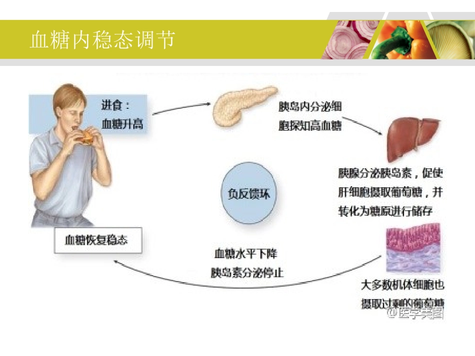 糖尿病与营养._第3页