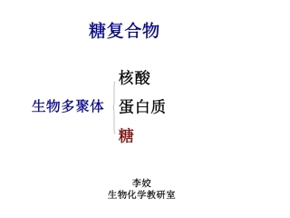 糖复合物-LJ