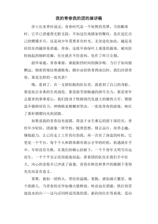 我的青春我的团的演讲稿