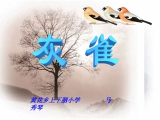 人教版小学语文三年级上册《灰雀》PPT课件