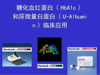 糖化血红蛋白讲座