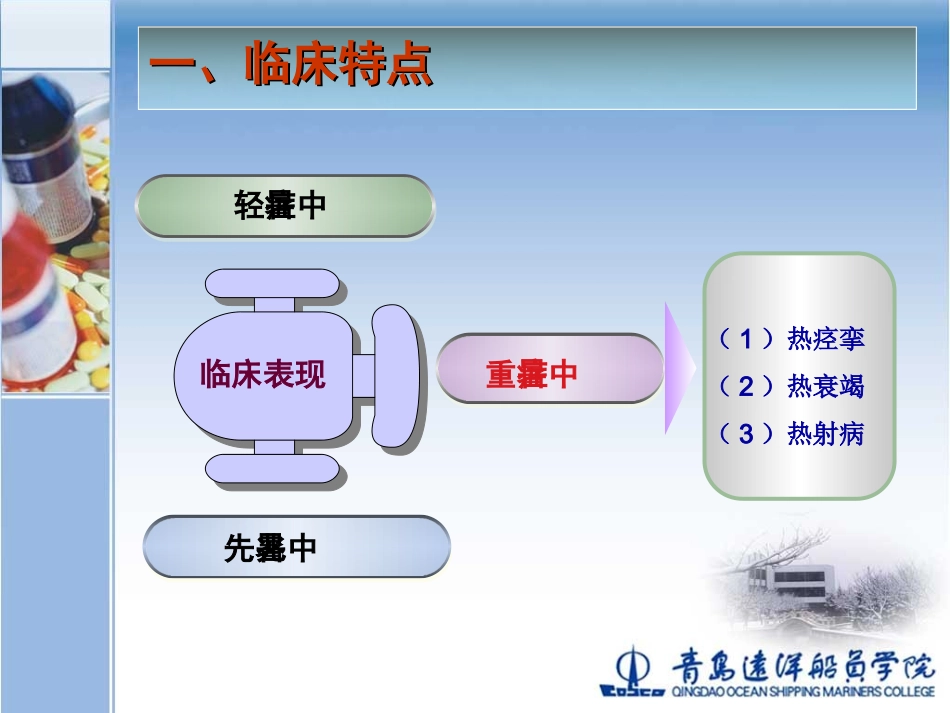 精通5(中暑脑出血急腹症)_第3页