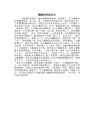 蜘蛛织网的启示