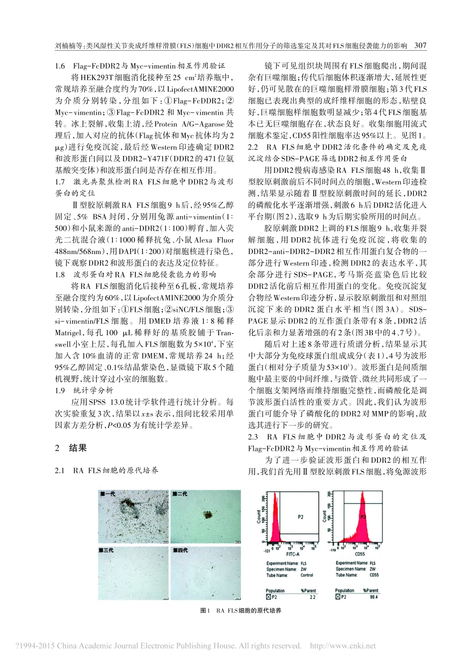 类风湿性关节炎成纤维样滑膜及其对FLS细胞侵袭能力的影响_刘楠楠_第3页