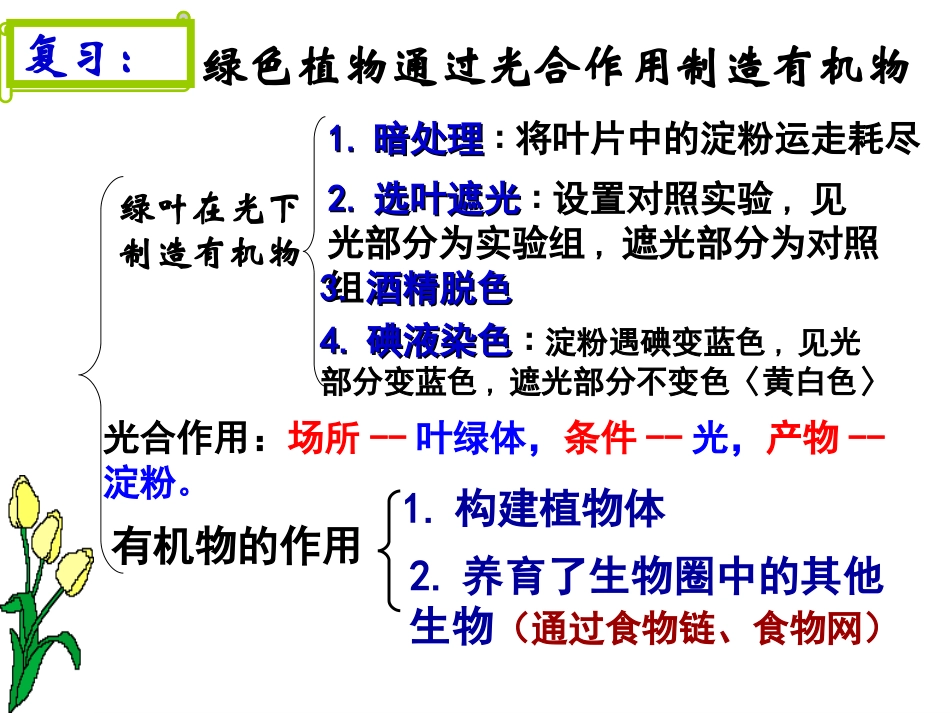 七年级_生物上册_第五章第一节植物利用二氧化碳释放氧气_人教版_第1页