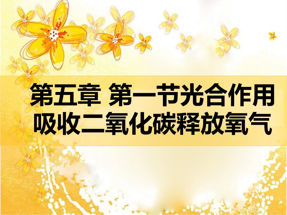 七年级_生物上册_第五章第一节植物利用二氧化碳释放氧气_人教版_第2页