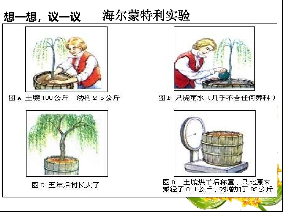 七年级_生物上册_第五章第一节植物利用二氧化碳释放氧气_人教版_第3页