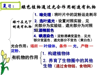 七年级_生物上册_第五章第一节植物利用二氧化碳释放氧气_人教版