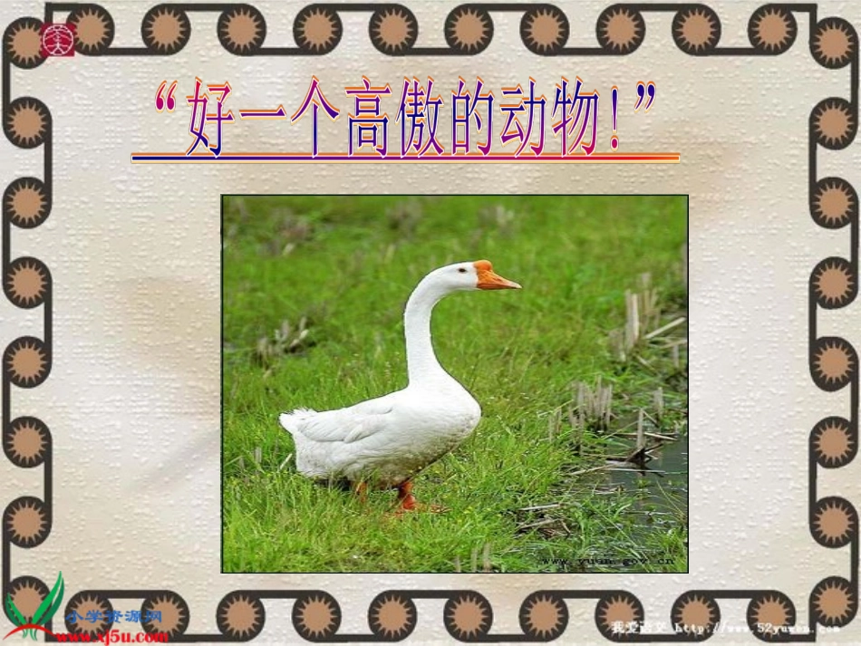 白鹅第二课时教学课件_第2页