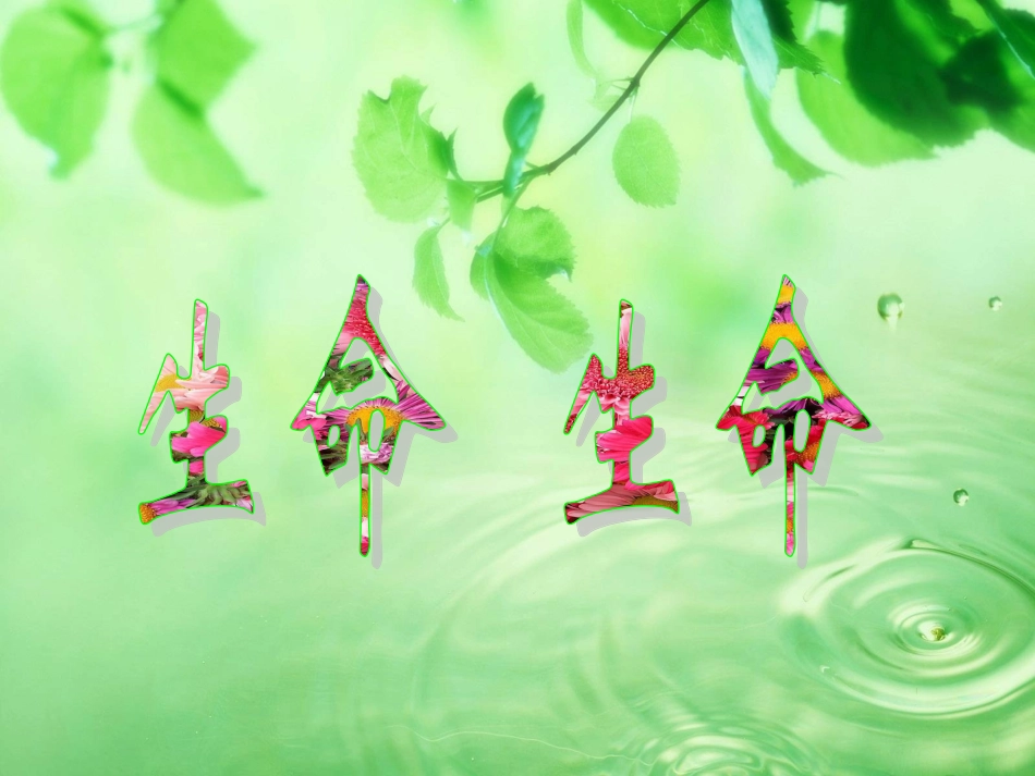 生命生命PPT课件_第3页