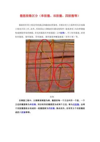 箍筋肢数区分(单肢箍、双肢箍、四肢箍等)