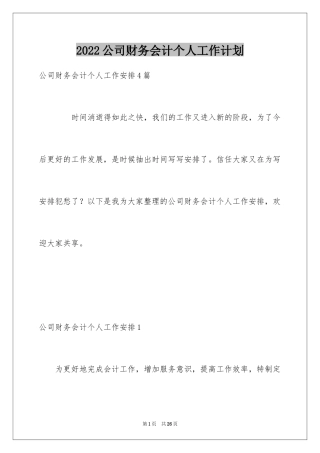 2024公司财务会计个人工作计划