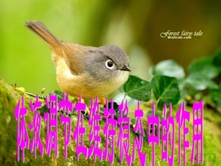 第四节体液调节在维持稳态中的作用(中图版)
