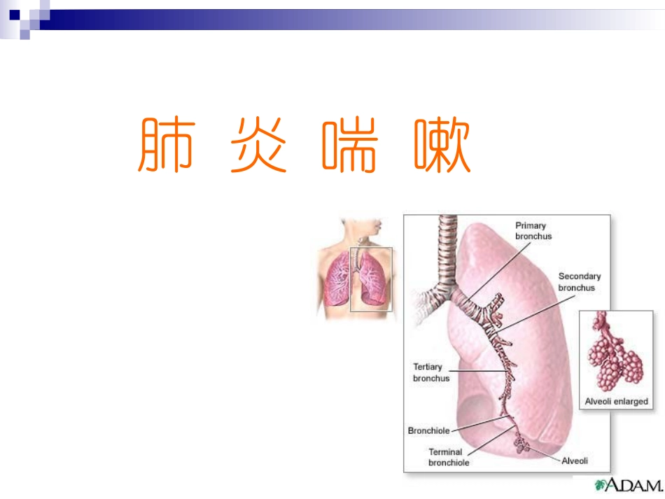 第四节肺炎喘嗽_第1页