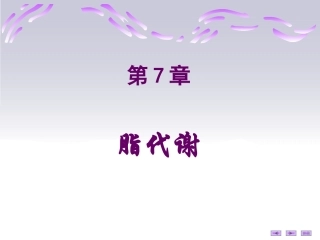 简生第七章脂代谢