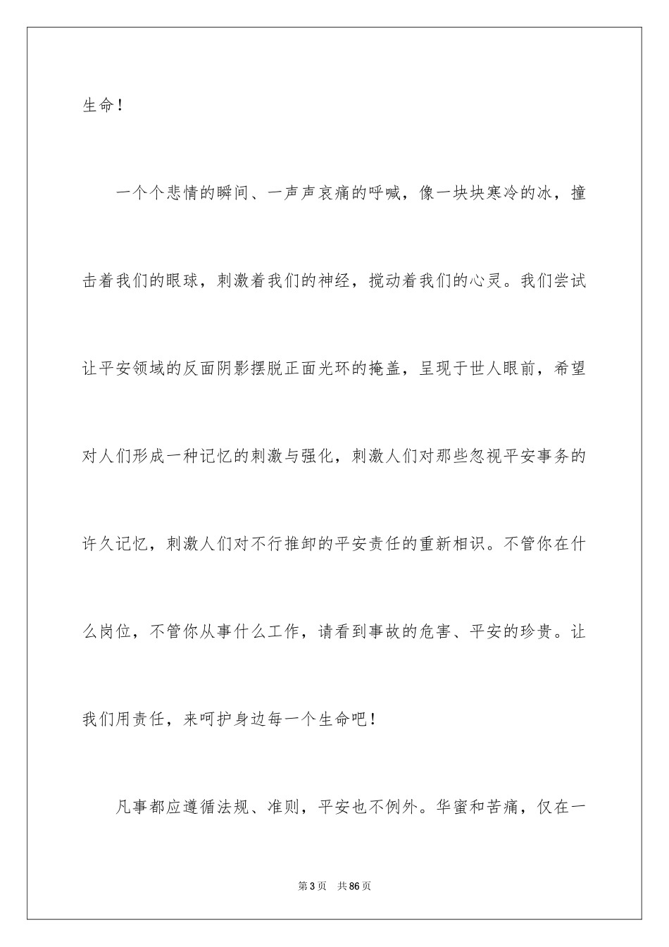 2024守护安全的演讲稿_4_第3页