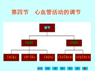 第四章血液循环(心血管活动的调节)