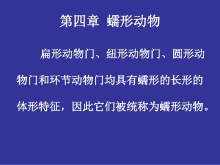 第四章 蠕形动物