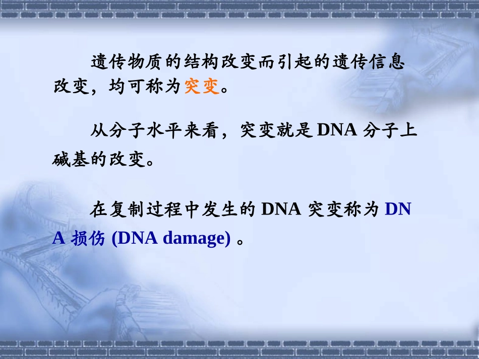 第四章 基因突变与基因病(2012-4-28)_第2页