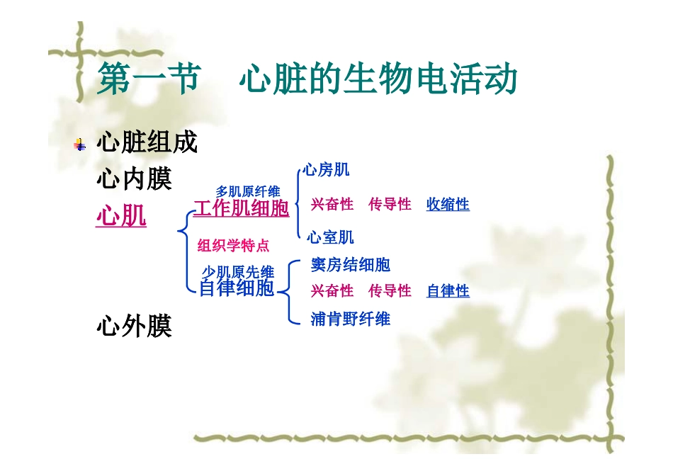 第四章 循环系统-2011 [兼容模式]_第3页