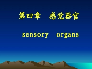 第四章  感觉器官