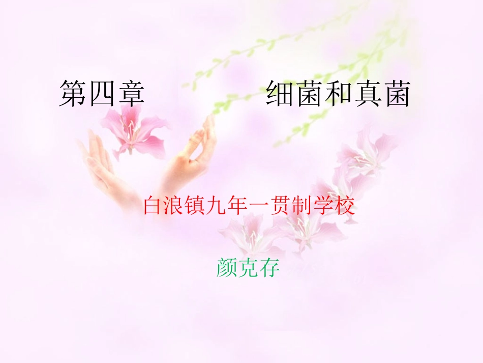 第四章    细菌和真菌_第1页