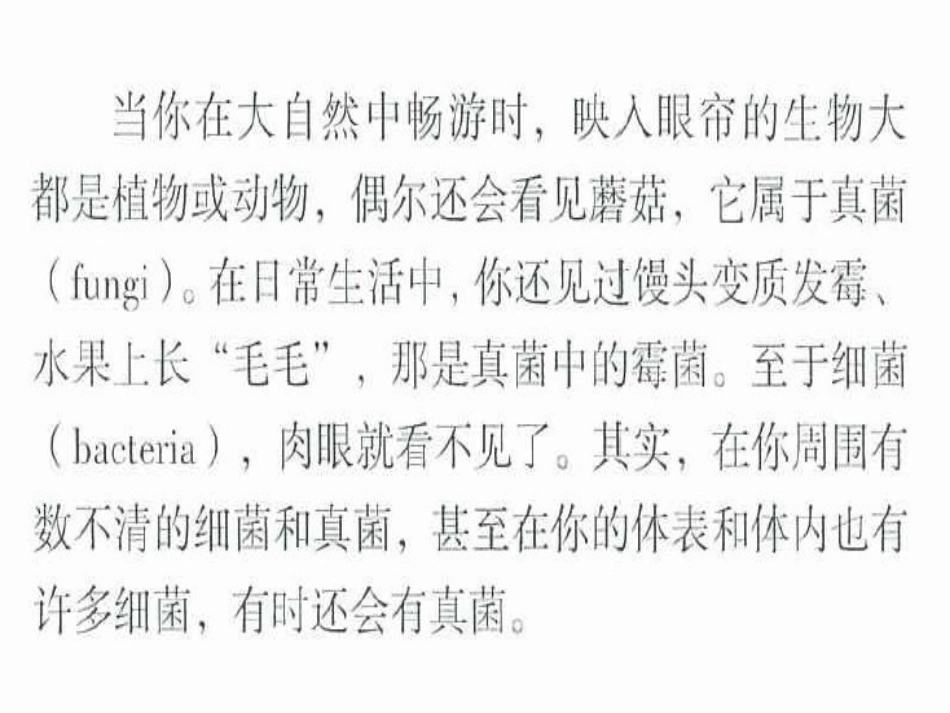 第四章    细菌和真菌_第2页