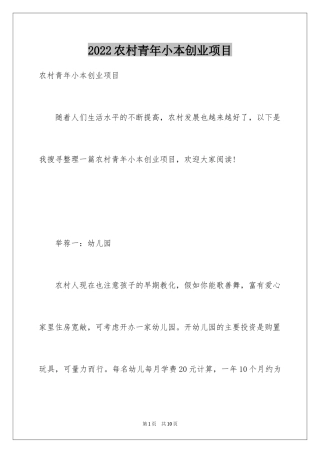 2024农村青年小本创业项目