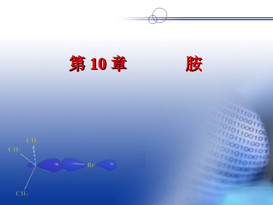 第十章 胺类化合物_第1页