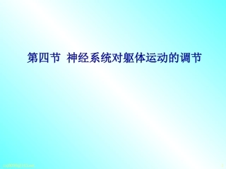 第十章 神经系统(四)