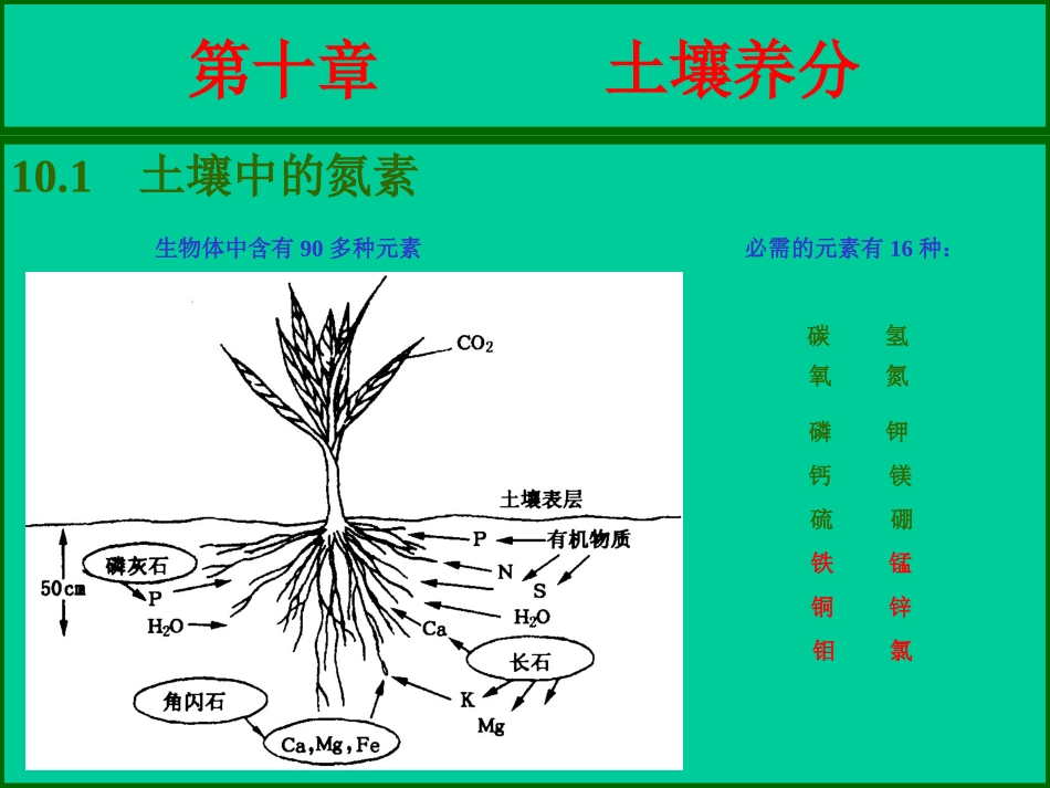 第十章  土壤养分_第2页