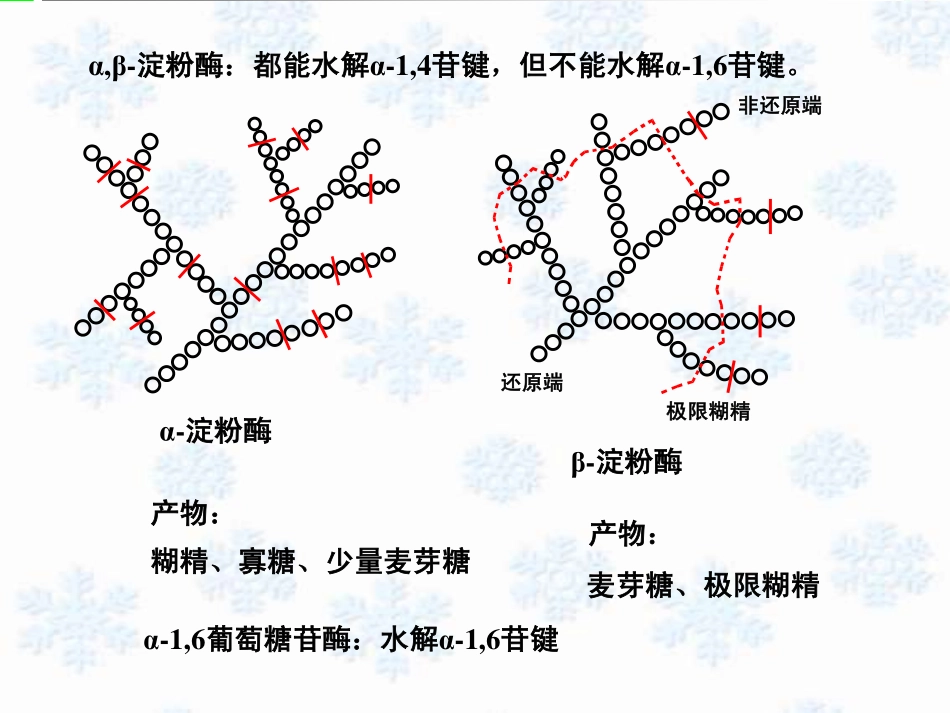 第十四章 糖酵解(重要)_第3页