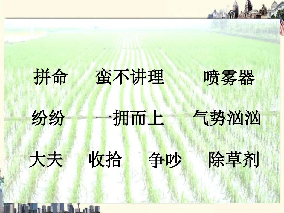 小稻秧脱险记_第3页