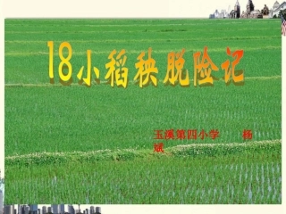 小稻秧脱险记