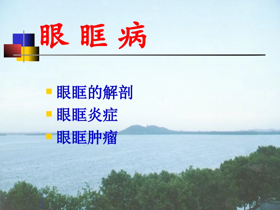 第十八章：眼眶病_第2页