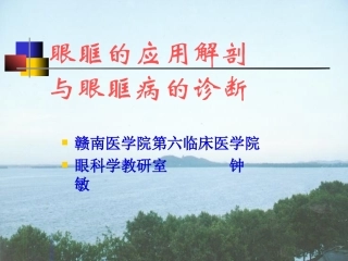 第十八章：眼眶病